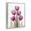 Stupell Industries Pink X-Ray Tulips, 16" x 20" - 3 of 4