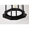 Nuvo Lighting Hopkins 1 - Light Lantern in  Matte Black - 3 of 4