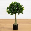Nearly Natural 3-ft Bay Leaf Topiary UV Resistant (Indoor/Outdoor) - 2 of 4