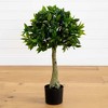 Nearly Natural 3-ft Bay Leaf Topiary UV Resistant (Indoor/Outdoor) - image 2 of 4