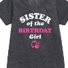 - Barbie - Sister of The Birthday Girl Graphic Short Sleeve Fleece Dress - 2 of 3