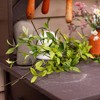 Sullivans Artificial 62" Ruscus & Twig Garland, Green - 3 of 4
