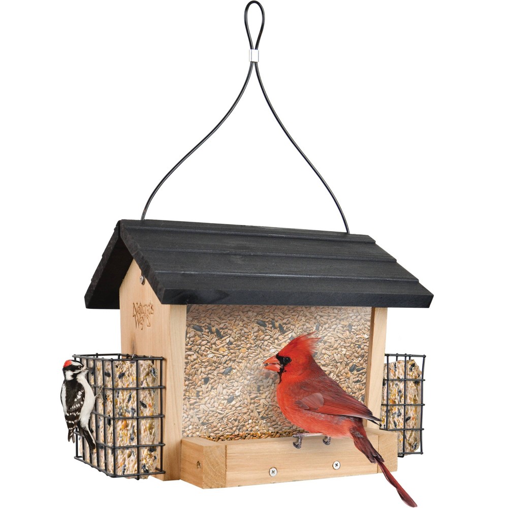 Wild Wings Cedar 3 Quarts Hopper with Suet Cages