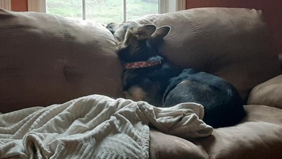 Guest review image 3 of 3, zoom in