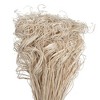Vickerman Natural Botanicals 24"-28" Curly Ting Ting - 2 of 4