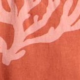 Rust Coral Print