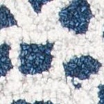 ivory/blue