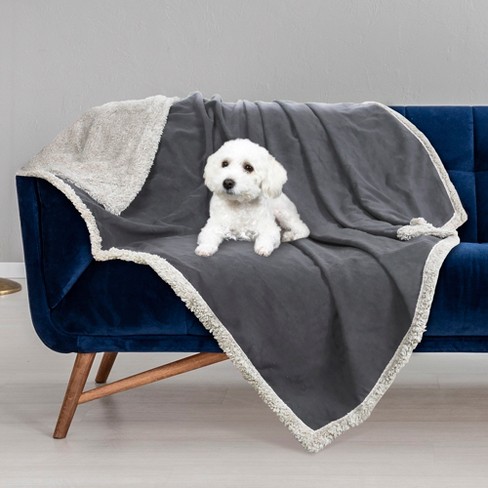 Dog proof clearance furniture