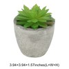 Unique Bargains Artificial Plants Mini Echeveria in Pulp 2.36"x2.36"x3.15" 1 Pc - 3 of 4