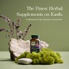 Gaia Herbs Adrenal Health Daily Support - Help Maintain Healthy Energy & Stress Levels - 3 of 4