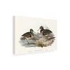 Trademark Fine Art - Elizabeth Gould  Waterbird Pairing III Canvas Art - 4 of 4