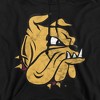 University of Minnesota Duluth Official Distressed Primary Adult Pull-Over Hoodie - 2 of 4