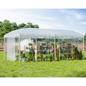 AMERLIFE Outdoors Pop-up Greenhouses with Adjustable Reinforced Frame - 1 of 4