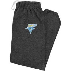 Long Island University Primary Logo Jogger Sweatpants - 1 of 4