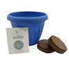 Buzzy Seeds 5.5" Plastic Grow Pot Coleus - 2 of 4