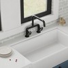 Double Handle 2-Holes Deck Mount Modern Standard Kitchen Faucet With 360 ° Swivel Spout - 4 of 4