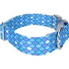 Country Brook Petz 1 1/2 Inch Premium Mermaid Scales Dog Collar - 3 of 4