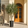 DR.Planzen 5-8FT Adjustable Artificial Olive Tree - UV Resistant Fake Plant in 15.7-22.7" Tall Planter (B/W/Coffee) for Indoor/Outdoor - 2 of 4