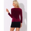 Allegra K Women's Velvet Contrast Lace V Neck Long Sleeve Elegant Top - 3 of 4