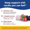 Nature Made Wellblends Back To Sleep Melatonin 1 mg, L theanine 100 mg and GABA 100mg Tablets, 40 Count - 3 of 4