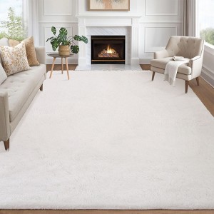 Plush Fuzzy Rugs Ultra Soft Fluffy Furry Rugs Non Slip Non Shedding Area Rug Indoor Carpet Nursery Rugs for Kids Room Bedroom Home Decor - 1 of 4