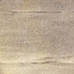 sylvie graywash