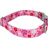 Country Brook Petz Premium Dog Collar - Affection Collection - 4 of 4