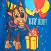 PAW Patrol Birthday T-Shirt Little Kid - 3 of 4