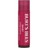 Burt's Bees Tinted Lip Balm Daisy Blister Pack - 0.15oz - 2 of 4