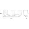 Progress Lighting Briarwood 3-Light Bath Vanity in Graphite with Clear Glass Shades - 2 of 4