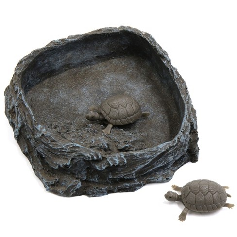 Tortoise feeding bowl sales