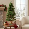 Northlight Pre-Lit Mixed Pine and Pine Cones Artificial Christmas Tree in Jute Base - 39" - Warm Clear LED Lights - 4 of 4