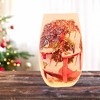 Stony Creek 5.25 In Winters Cardinals Pre-Lit Small Vase Christmas Lighted Glass Accent , Christmas Decor Chair Feeder Branch (1PC) - 2 of 4