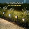 C Cattleya 2 Pack Versatile LED Solar Path Light 3000K/6000K - 4 of 4