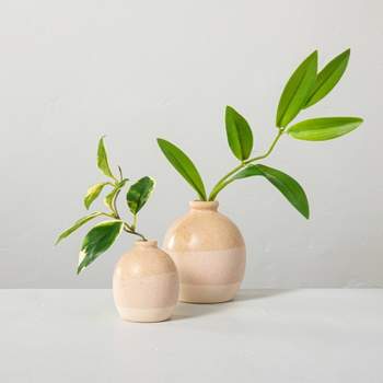 Faux Hoya Leaf Stem Arrangement Set - Hearth & Hand™ with Magnolia