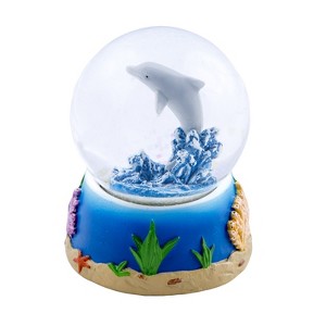Beachcombers Dolphin Jumping Water Ball - 1 of 1