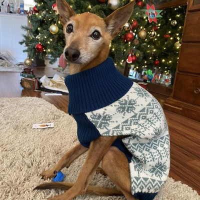 Snowflake Dog Sweater - Blue - Xxl - Wondershop™ : Target