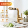 WOWOW 11.3 in. Single Handle Pull Down Sprayer Kitchen Faucet with Advanced Spray - 2 of 4