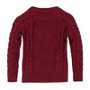 Hope & Henry Boys' Organic Long Sleeve Raglan Fisherman Cable Sweater, Infant - image 3 of 4