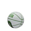 NBA Boston Celtics Jayson Tatum Mini Basketball - 3 of 4