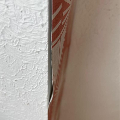 Guest review image 4 of 4, zoom in