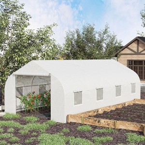 NicBex 20'x10'x7' Walk-in Tunnel Greenhouse with Roll-up Windows and Zippered Door, PE Cover for Growing Flowers, Herbs, Vegetables, Saplings, White - 1 of 4