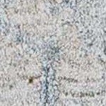 taupe, medium gray, beige, teal