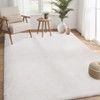 Plush Fuzzy Rugs Ultra Soft Fluffy Furry Rugs Non Slip Non Shedding Area Rug Indoor Carpet Nursery Rugs for Kids Room Bedroom Home Decor - 2 of 4