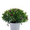 Unique Bargains Artificial Plants Mini Gypsophila Plastic 2.36"x2.36"x5.12" 1 Pc - 4 of 4