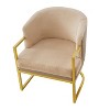 Accent Chair Upholstered Armchair Cozy Reading Chair with Gold Metal Frame - ModernLuxe - 4 of 4