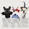 Junior's Design By Humans Dog Halloween - We're Only Here For The Treats By PedigreePrints T-Shirt - 2 of 3