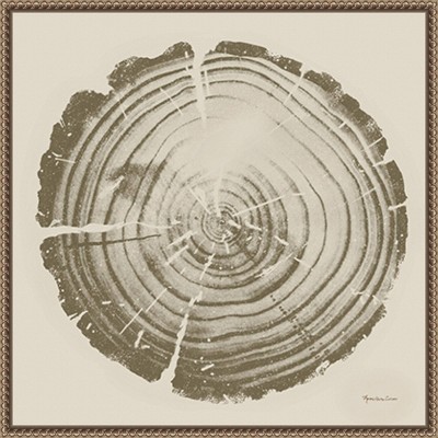 Tree Trunk Cream II Abstract Canvas Print with Bronze Frame