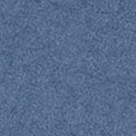navy blue - royal