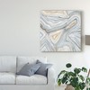 Trademark Fine Art -Megan Meagher 'Agate Abstract I' Canvas Art - 3 of 4